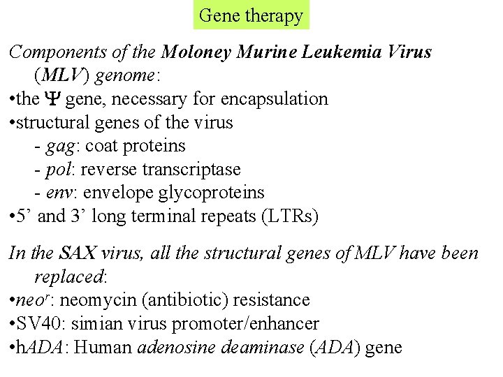 Gene therapy Components of the Moloney Murine Leukemia Virus (MLV) genome: • the Y Gene therapy Components of the Moloney Murine Leukemia Virus (MLV) genome: • the Y
