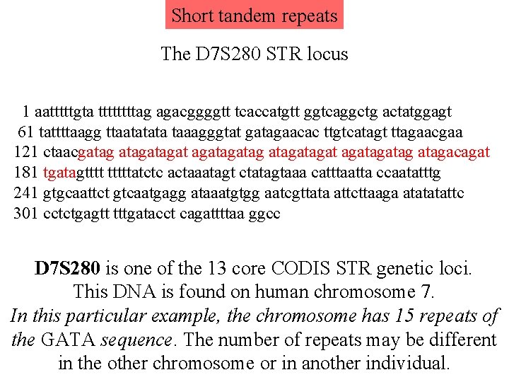 Short tandem repeats The D 7 S 280 STR locus 1 aatttttgta ttttag agacggggtt Short tandem repeats The D 7 S 280 STR locus 1 aatttttgta ttttag agacggggtt