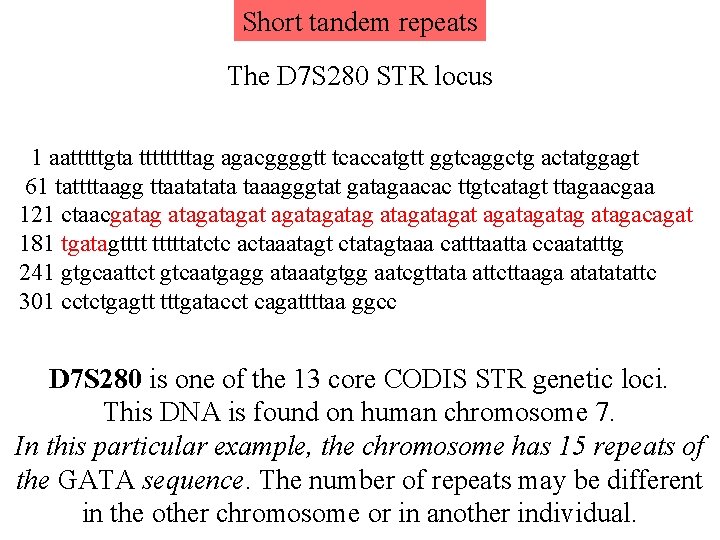 Short tandem repeats The D 7 S 280 STR locus 1 aatttttgta ttttag agacggggtt