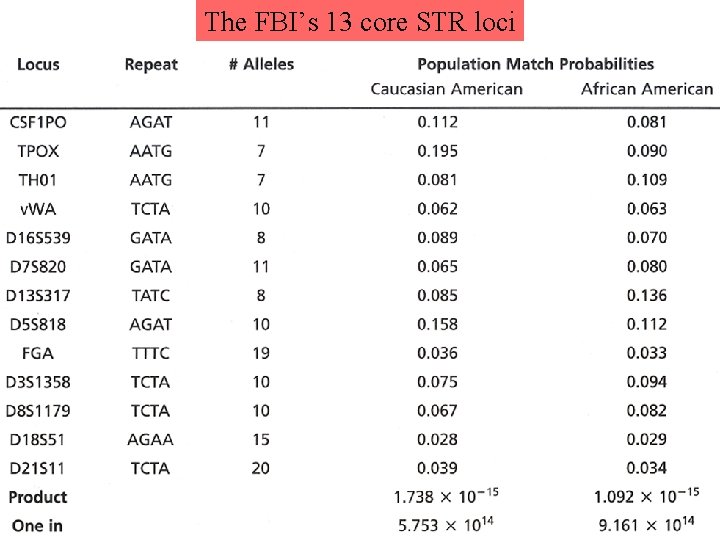 The FBI’s 13 core STR loci  The FBI’s 13 core STR loci
