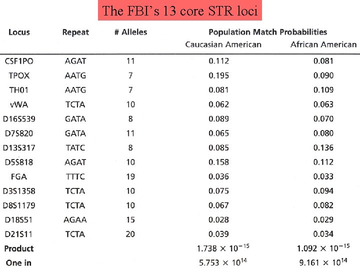 The FBI’s 13 core STR loci 