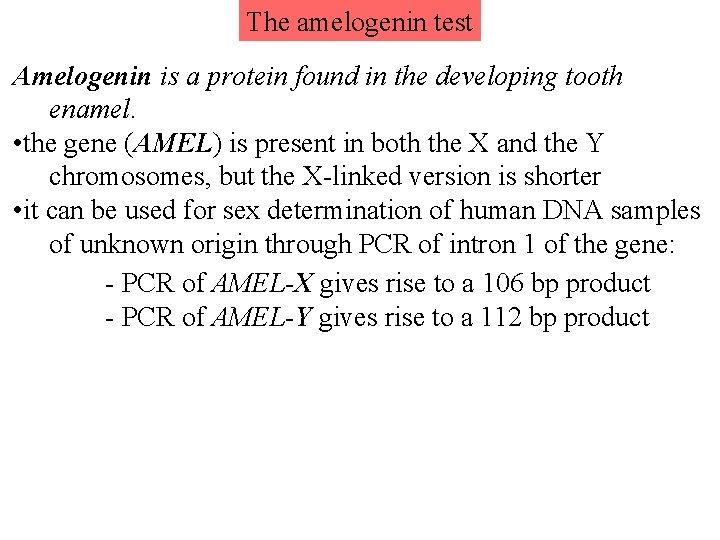 The amelogenin test Amelogenin is a protein found in the developing tooth enamel. •