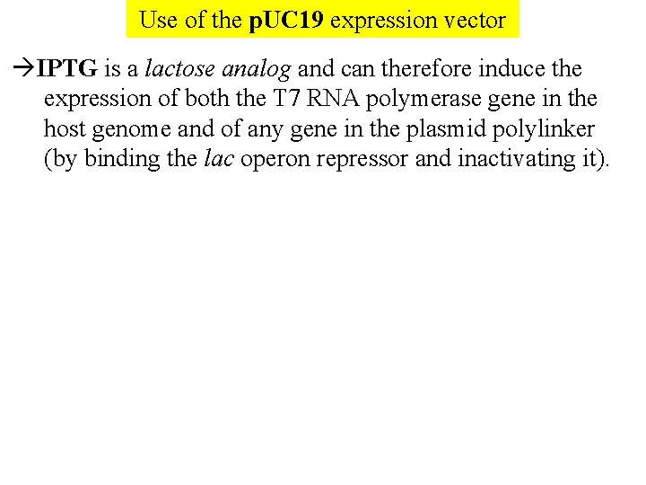 Use of the p. UC 19 expression vector IPTG is a lactose analog and