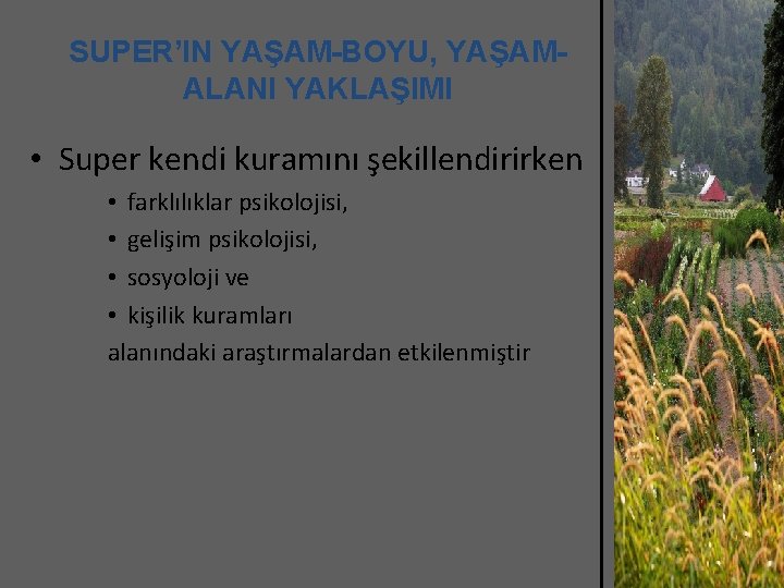 SUPER’IN YAŞAM-BOYU, YAŞAMALANI YAKLAŞIMI • Super kendi kuramını şekillendirirken • farklılıklar psikolojisi, • gelişim