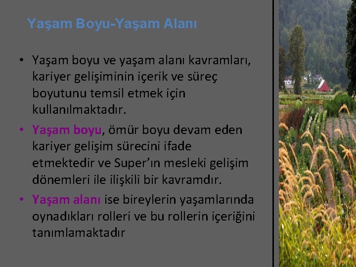 Yaşam Boyu-Yaşam Alanı • Yaşam boyu ve yaşam alanı kavramları, kariyer gelişiminin içerik ve