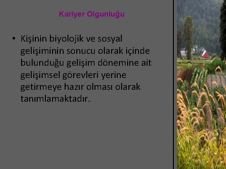 Kariyer Olgunluğu • Kişinin biyolojik ve sosyal gelişiminin sonucu olarak içinde bulunduğu gelişim dönemine