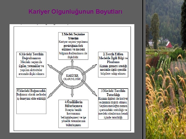 Kariyer Olgunluğunun Boyutları 