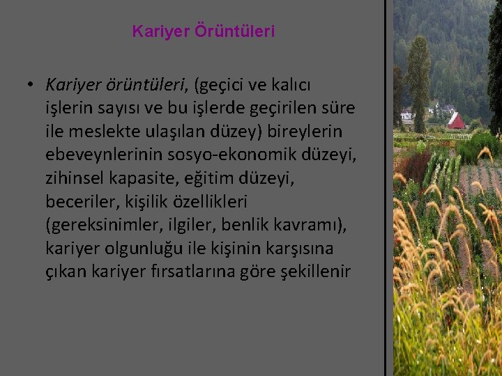 Kariyer Örüntüleri • Kariyer örüntüleri, (geçici ve kalıcı işlerin sayısı ve bu işlerde geçirilen