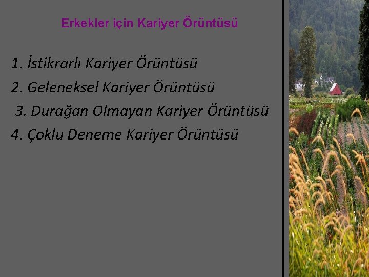 Erkekler için Kariyer Örüntüsü 1. İstikrarlı Kariyer Örüntüsü 2. Geleneksel Kariyer Örüntüsü 3. Durağan