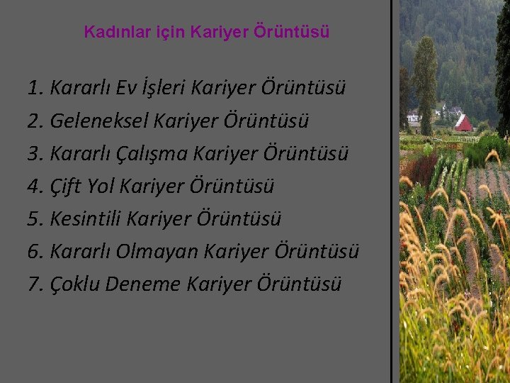 Kadınlar için Kariyer Örüntüsü 1. Kararlı Ev İşleri Kariyer Örüntüsü 2. Geleneksel Kariyer Örüntüsü