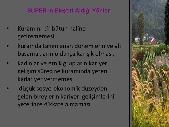 SUPER’ın Eleştiri Aldığı Yönler • • Kuramını bir bütün haline getirememesi kuramda tanımlanan dönemlerin