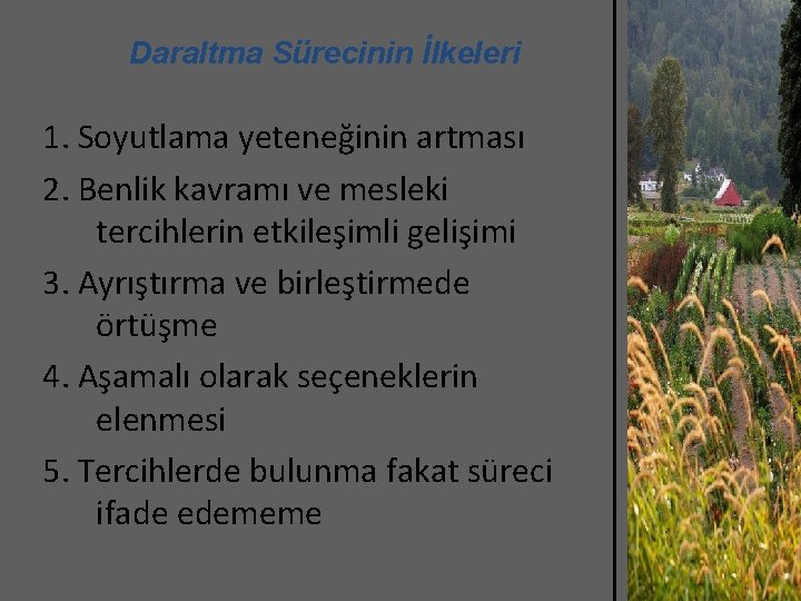 Daraltma Sürecinin İlkeleri 1. Soyutlama yeteneğinin artması 2. Benlik kavramı ve mesleki tercihlerin etkileşimli