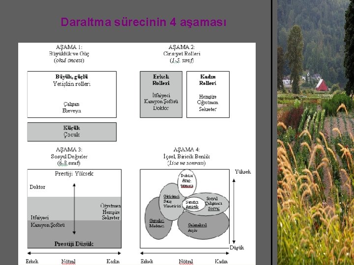 Daraltma sürecinin 4 aşaması 