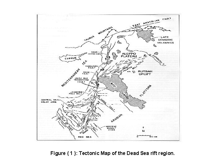 Figure ( 1 ): Tectonic Map of the Dead Sea rift region. 