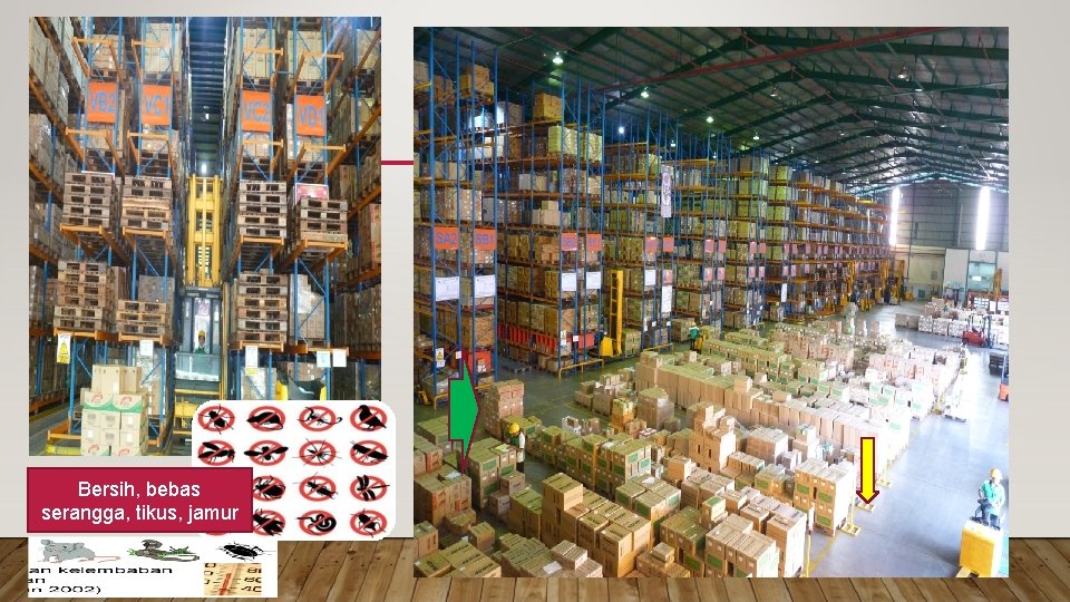 Bersih, bebas serangga, tikus, jamur 