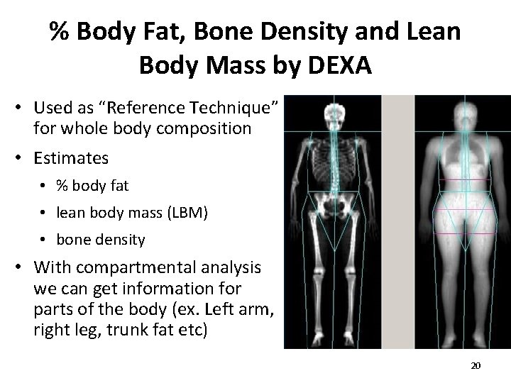 % Body Fat, Bone Density and Lean Body Mass by DEXA • Used as % Body Fat, Bone Density and Lean Body Mass by DEXA • Used as