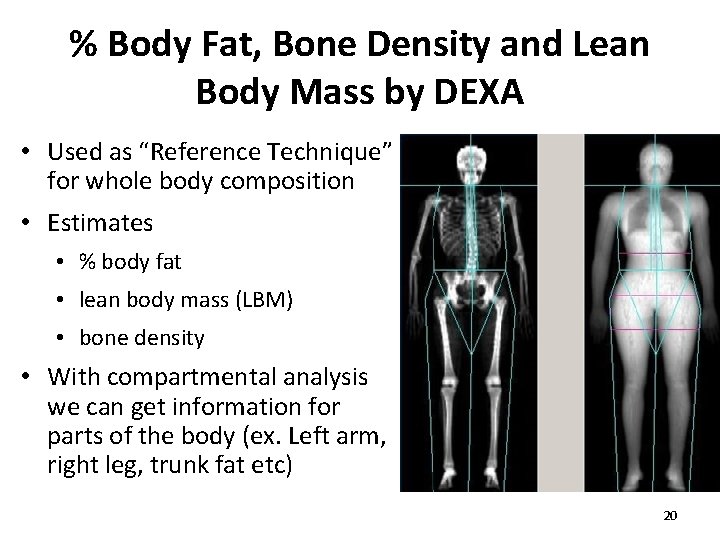 % Body Fat, Bone Density and Lean Body Mass by DEXA • Used as