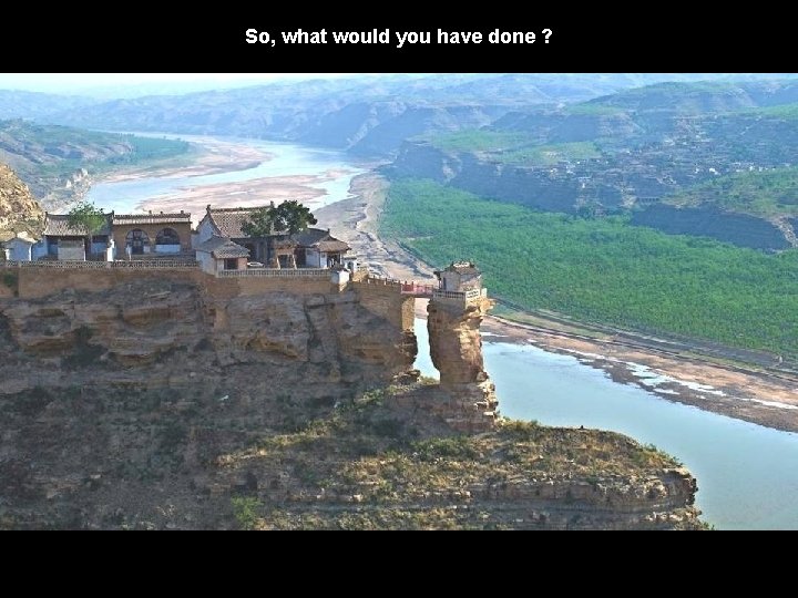 So, what would you have done ? 