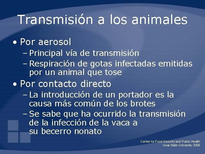 Transmisión a los animales • Por aerosol – Principal vía de transmisión – Respiración