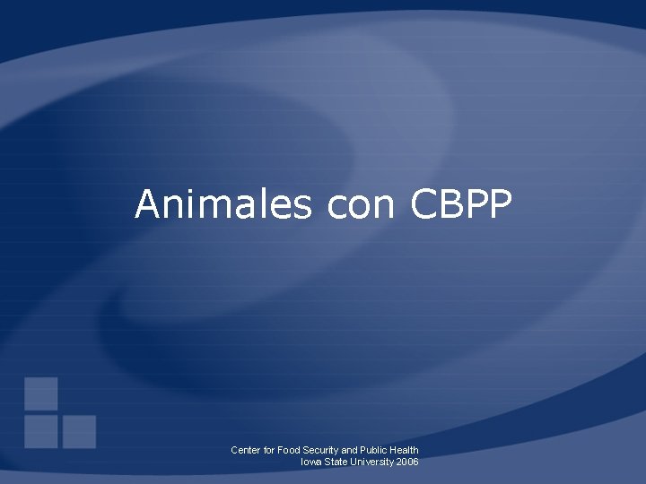 Animales con CBPP Center for Food Security and Public Health Iowa State University 2006