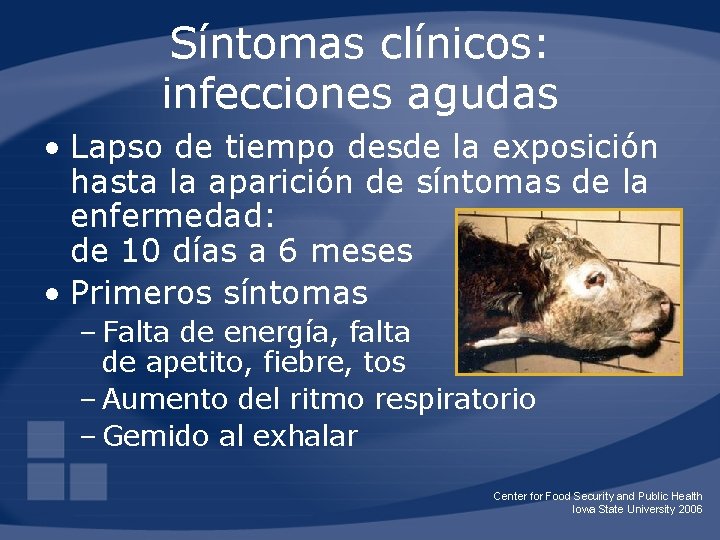 Síntomas clínicos: infecciones agudas • Lapso de tiempo desde la exposición hasta la aparición