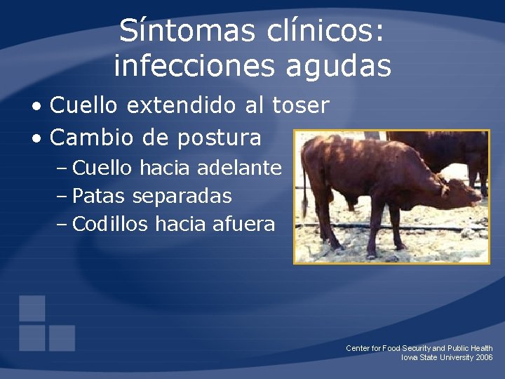 Síntomas clínicos: infecciones agudas • Cuello extendido al toser • Cambio de postura –