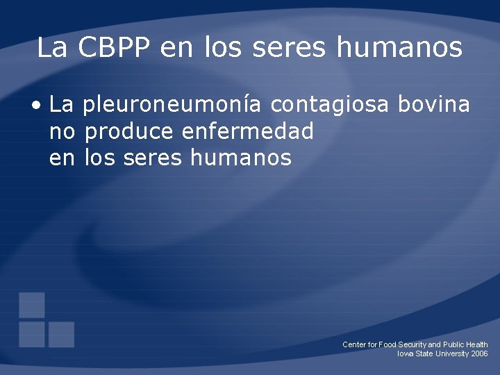 La CBPP en los seres humanos • La pleuroneumonía contagiosa bovina no produce enfermedad