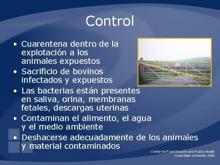 Control • Cuarentena dentro de la explotación a los animales expuestos • Sacrificio de