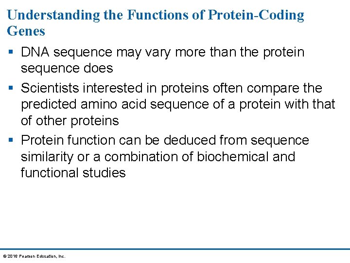 Understanding the Functions of Protein-Coding Genes § DNA sequence may vary more than the