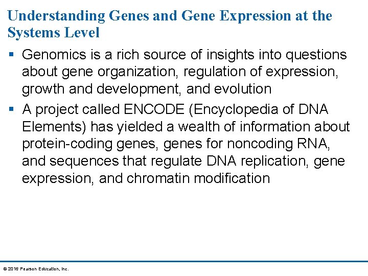 Understanding Genes and Gene Expression at the Systems Level § Genomics is a rich