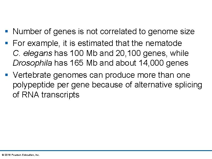 § Number of genes is not correlated to genome size § For example, it