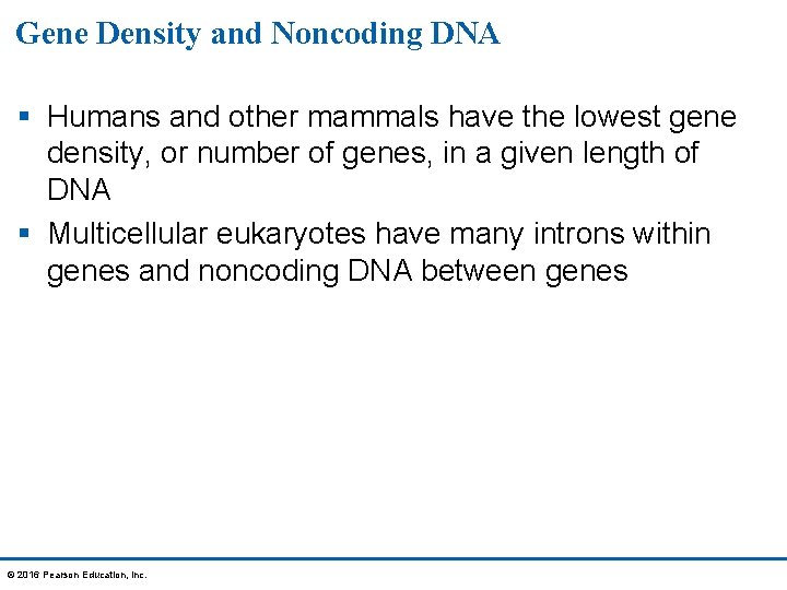 Gene Density and Noncoding DNA § Humans and other mammals have the lowest gene
