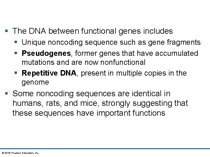 § The DNA between functional genes includes § Unique noncoding sequence such as gene