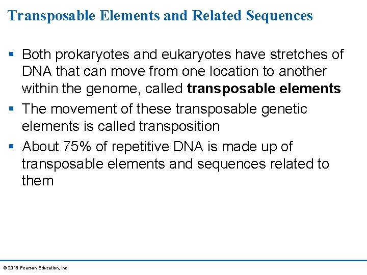 Transposable Elements and Related Sequences § Both prokaryotes and eukaryotes have stretches of DNA