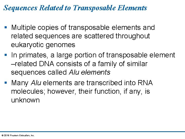 Sequences Related to Transposable Elements § Multiple copies of transposable elements and related sequences