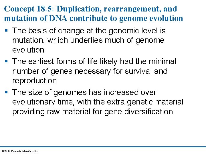 Concept 18. 5: Duplication, rearrangement, and mutation of DNA contribute to genome evolution §