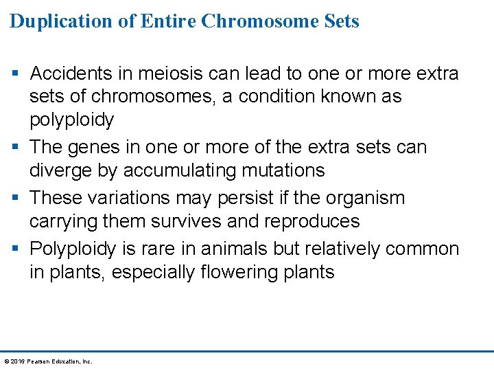 Duplication of Entire Chromosome Sets § Accidents in meiosis can lead to one or