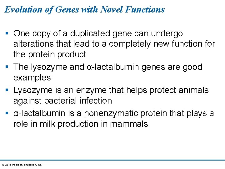 Evolution of Genes with Novel Functions § One copy of a duplicated gene can