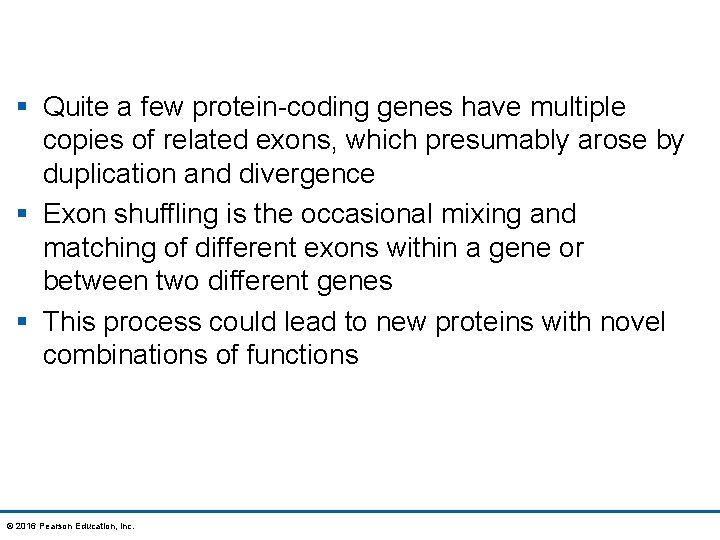 § Quite a few protein-coding genes have multiple copies of related exons, which presumably
