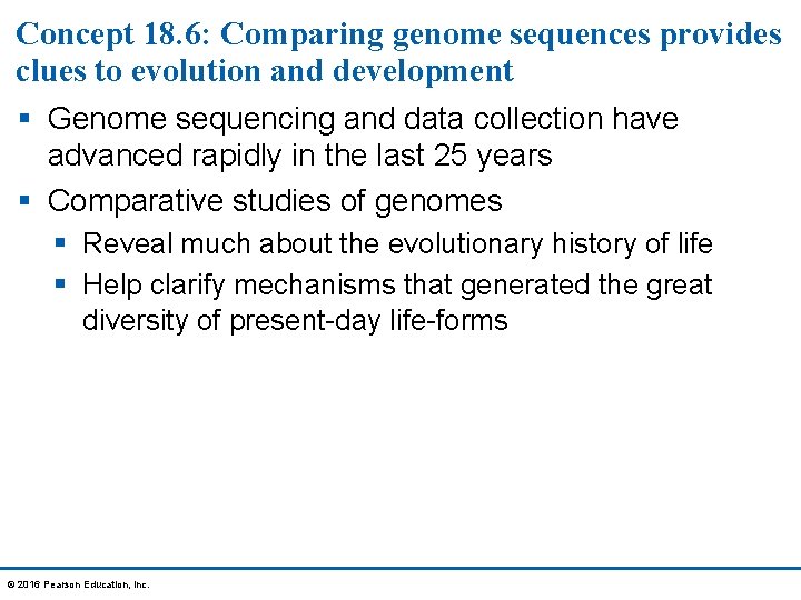 Concept 18. 6: Comparing genome sequences provides clues to evolution and development § Genome