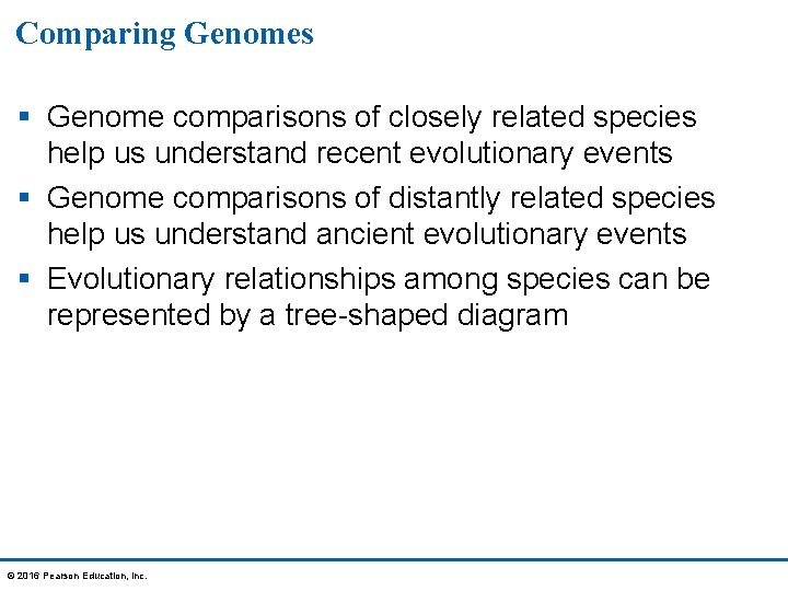 Comparing Genomes § Genome comparisons of closely related species help us understand recent evolutionary