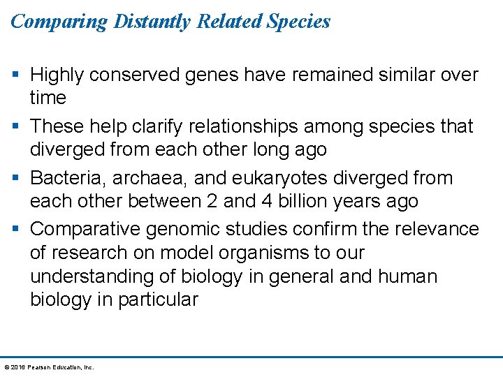 Comparing Distantly Related Species § Highly conserved genes have remained similar over time §