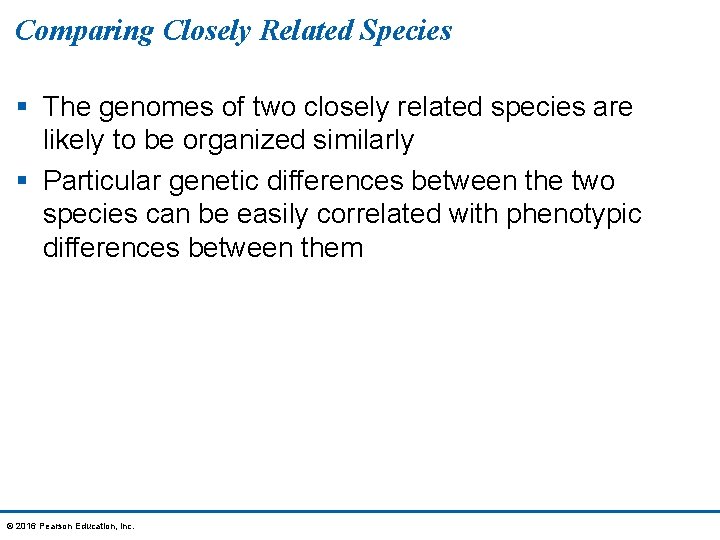 Comparing Closely Related Species § The genomes of two closely related species are likely