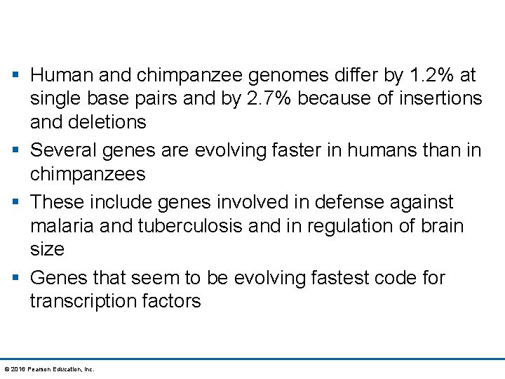 § Human and chimpanzee genomes differ by 1. 2% at single base pairs and