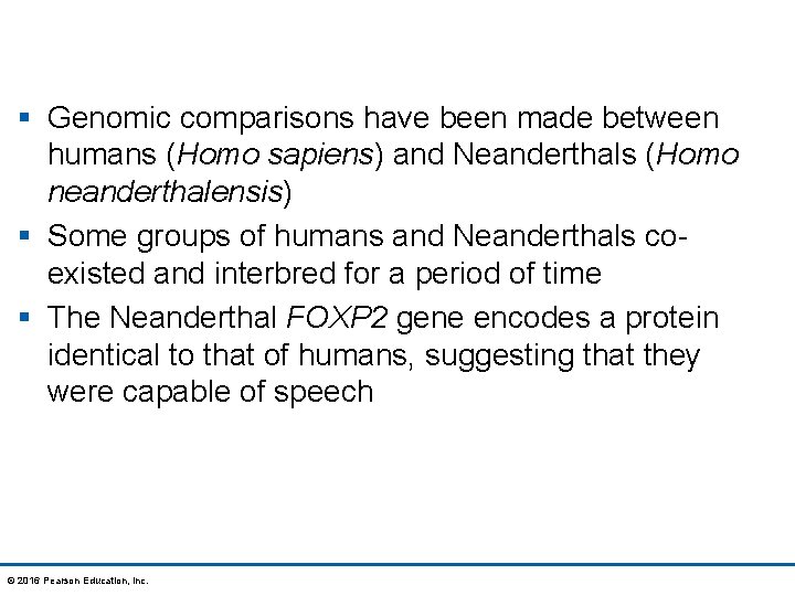 § Genomic comparisons have been made between humans (Homo sapiens) and Neanderthals (Homo neanderthalensis)