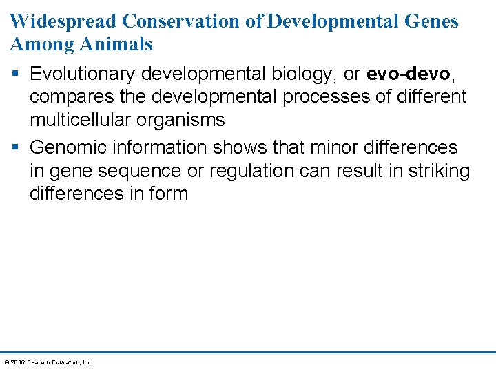 Widespread Conservation of Developmental Genes Among Animals § Evolutionary developmental biology, or evo-devo, compares