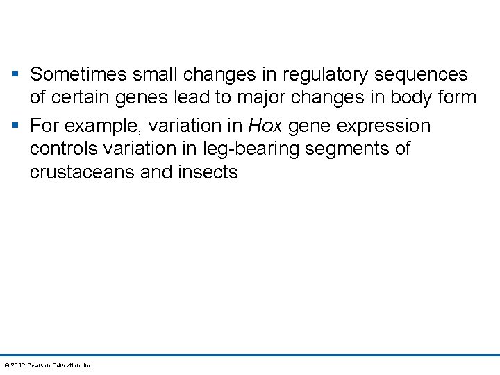 § Sometimes small changes in regulatory sequences of certain genes lead to major changes