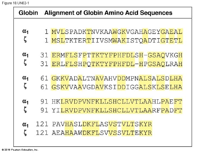 Figure 18. UN 02 -1 © 2016 Pearson Education, Inc. 