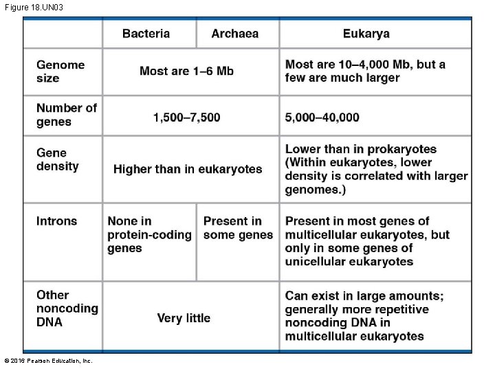 Figure 18. UN 03 © 2016 Pearson Education, Inc. 