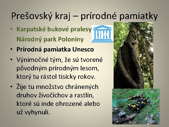 Prešovský kraj – prírodné pamiatky • Karpatské bukové pralesy Národný park Poloniny • Prírodná